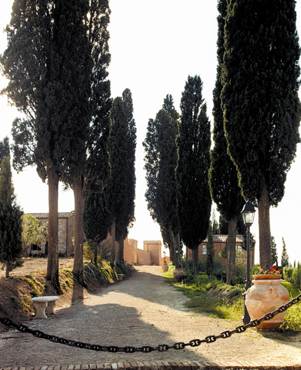 celebrate-specia-day-most-romantic-scenery-castello-di-leonina-siena-italy_01x