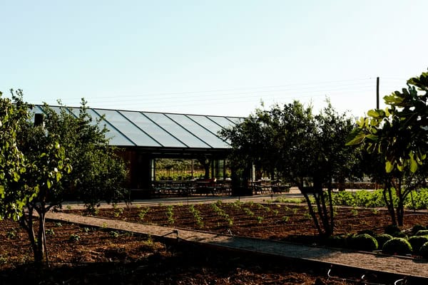 Plan your nature inspired wedding at the unique Glasshouse at The Margi Farm