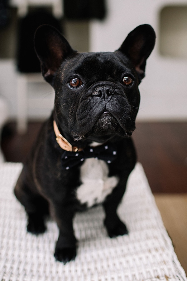 whimsical-green-white-wedding-sydney_11